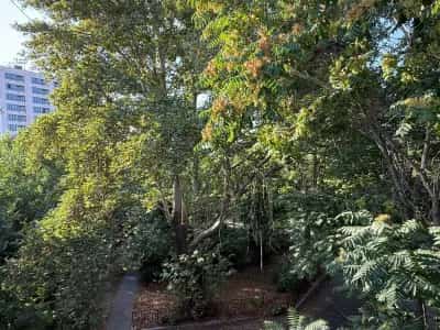 3 Սենյականոց բնակարան, Ալիխանյան եղբայրներ, Աջափնյակ (Երևան) view 21