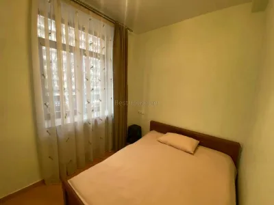 2 Սենյականոց բնակարան, Սայաթ-Նովայի պող, Կենտրոն (Երևան) view 2